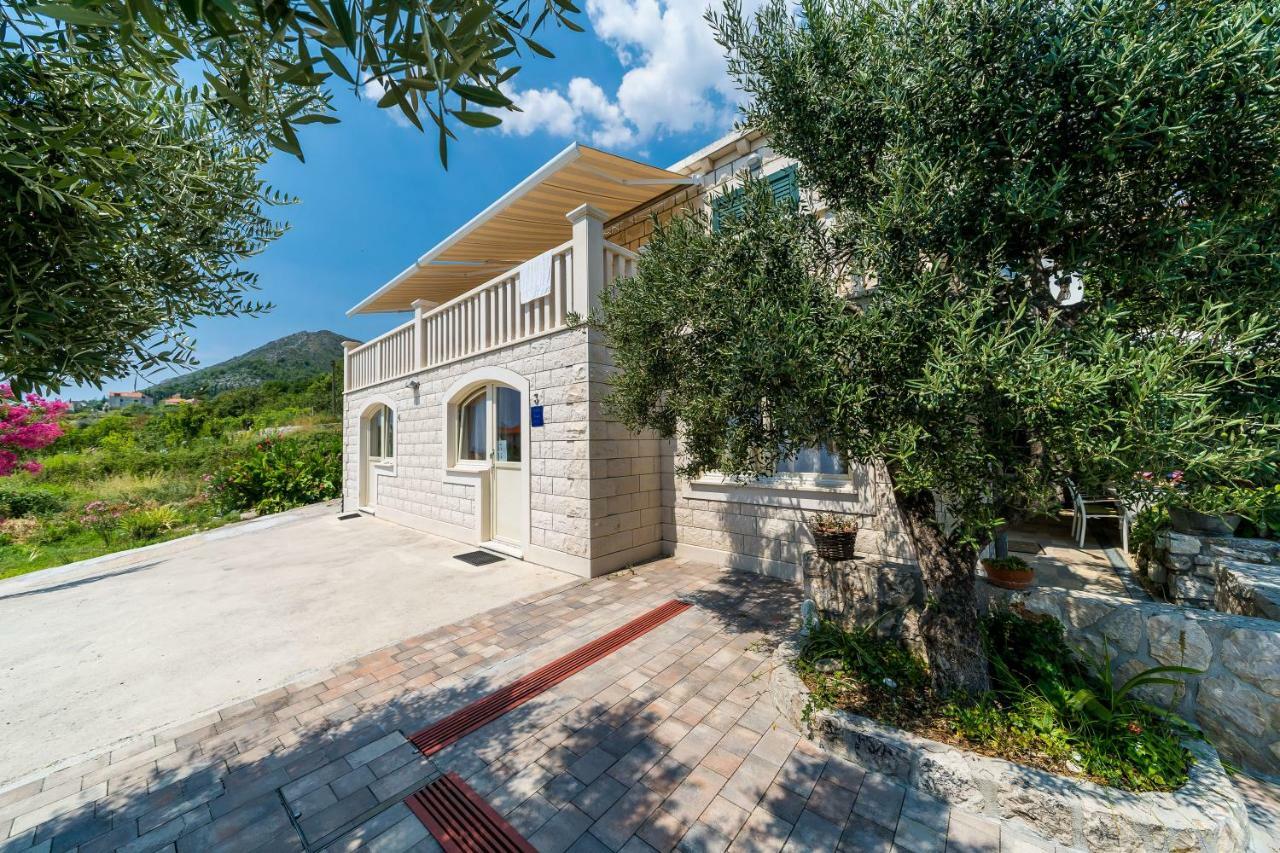 Villa La Vagabonda Orašac Kültér fotó